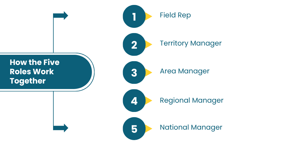 sales-manager